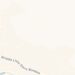 Map - Săliştea de Sus
