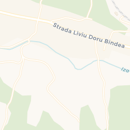 Map - Săliştea de Sus