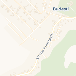 Map - Budeşti
