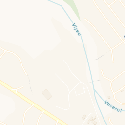 Map - Vişeu De Sus