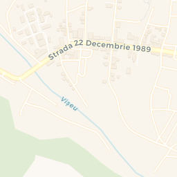 Map - Vişeu De Sus