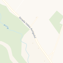 Map - Avrig