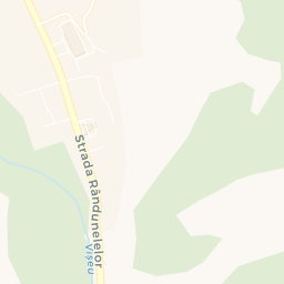 Map - Vişeu De Sus