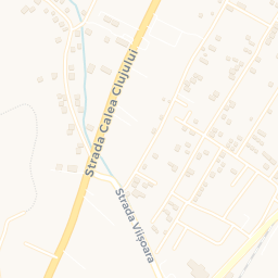 Map - Viișoara