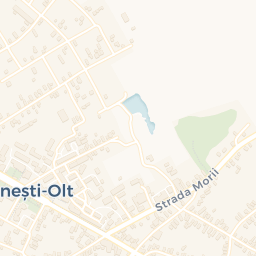 Map - Drăgăneşti-Olt