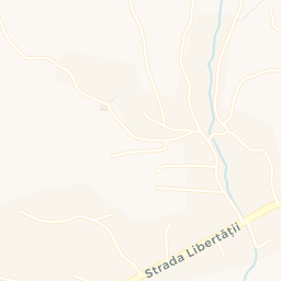 Map - Borşa