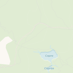Map - Cârţişoara