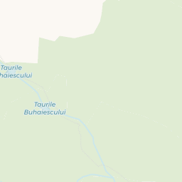 Map - Borşa