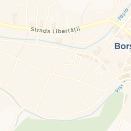 Map - Borşa