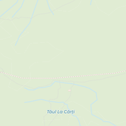 Map - Borşa