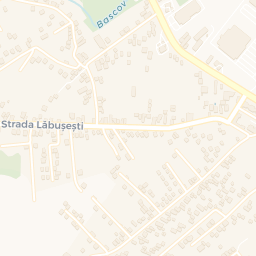 Map - Başcov