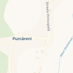 Map - Purcăreni