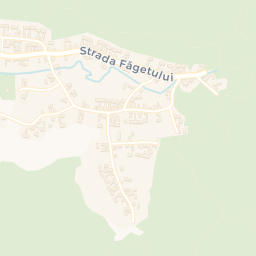 Map - Făgăraș