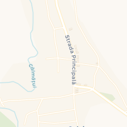Map - Comuna Salcia