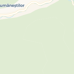 Map - Valea Mare Pravăț