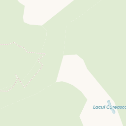 Map - Malu cu Flori