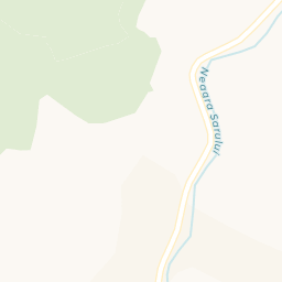 Map - Neagra Șarului