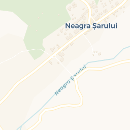 Map - Neagra Șarului