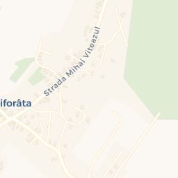 Map - Viforâta