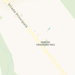Map - Comuna Vânătorii Mici