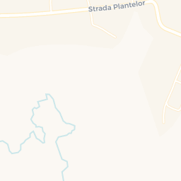 Map - Oraş Videle