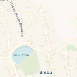 Map - Brebu Mânăstirei