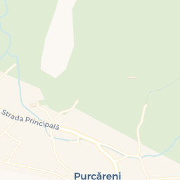 Map - Purcăreni
