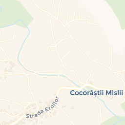 Map - Cocorăștii Mislii