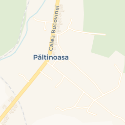 Map - Păltinoasa