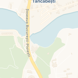 Map - Ciofliceni