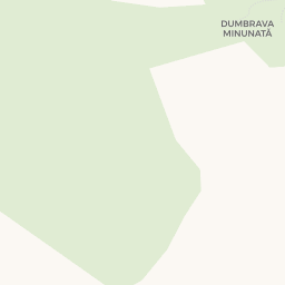 Map - Fălticeni