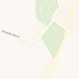 Map - Dorohoi