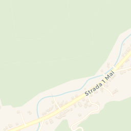 Map - Oraş Slãnic-Moldova