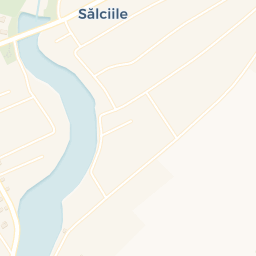 Map - Comuna Sălciile