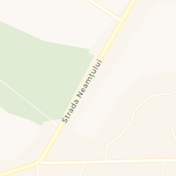 Map - Timişeşti