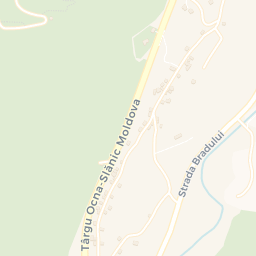 Map - Oraş Târgu Ocna