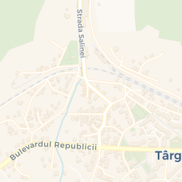 Map - Târgu Ocna