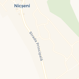 Map - Nicşeni