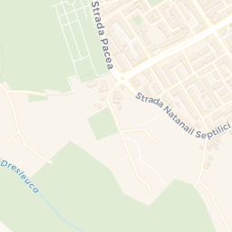 Map - Botoşani