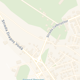 Map - Paşcani
