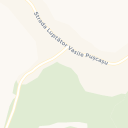 Map - Bârsăneşti