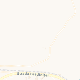 Map - Paşcani
