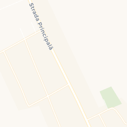 Map - Coţuşca