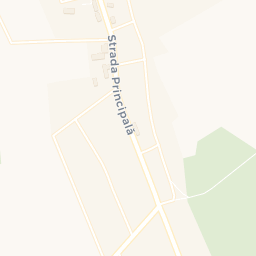 Map - Coţuşca