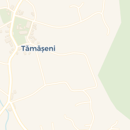 Map - Comuna Tămăşeni