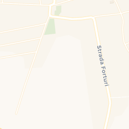 Map - Jorăști