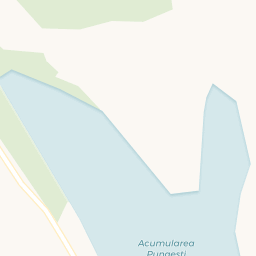 Map - Pungeşti