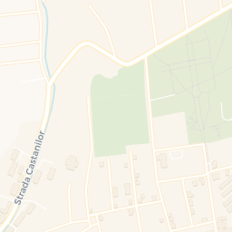 Map - Vaslui