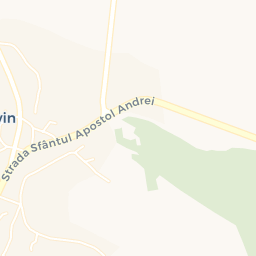 Map - Ion Corvin