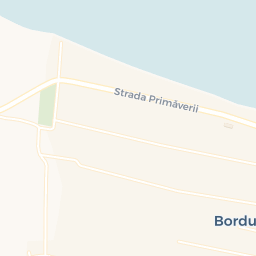 Map - Borduşani
